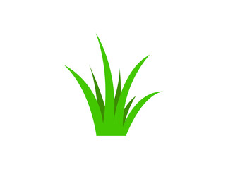 Green grass graphic design template vector isolated.