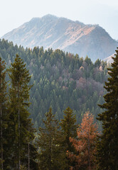 Val Seriana, its peaks, woods and autumnal landscape during an October afternoon, near the town of Clusone, Italy - October 2021