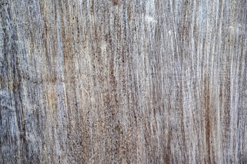 Obraz premium Old board painted in white color and bronze patina