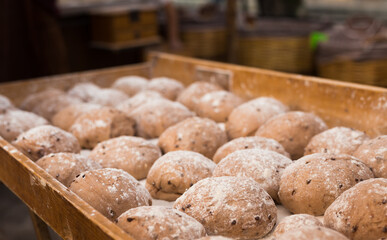 yeast dough in the form of loaves waiting to be cooked