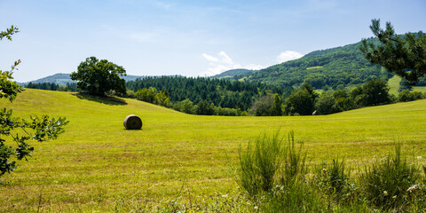 Bocage de la plaine du val d’Allier, Boudes,  Lembron, Auvergne, France
