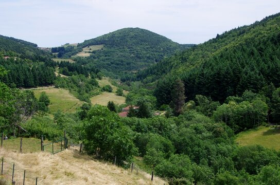 Rural landscape in Veyrines in Ardeche in France, Europe