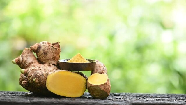 Zingiber montanum rhizome and powder on nature background.