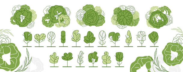 Fototapeta premium Tree for architectural floor plans. Entourage design. Various trees, bushes, and shrubs, top view for the landscape design plan. Vector illustration.