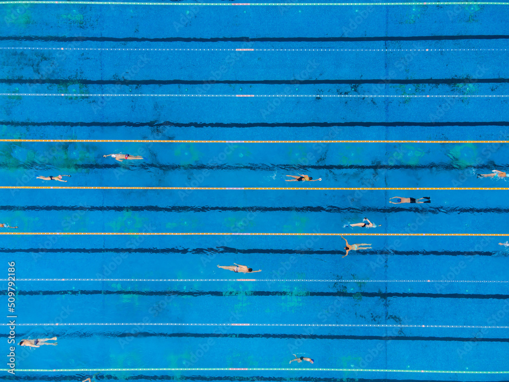 Wall mural Aerial view of group of swimmers training in open swimming pool.