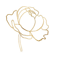 Watercolor golden outline peony flower illustration element