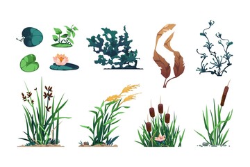 Lake plants. Pond flora and swamp botany game asset with reed, cattails, and bulrush, wetland water leafy plants. Vector isolated set - obrazy, fototapety, plakaty