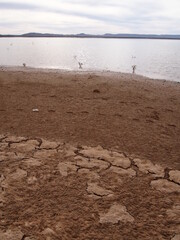 La sécheresse s'annonce au bord d'une rivière au Maroc