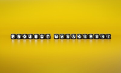 Words ‘Project management’ spelled out in white text on dark wooden blocks against plain yellow background. 3D rendering