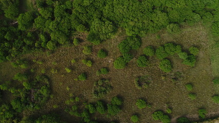 Monte bien chaque&ntilde;o