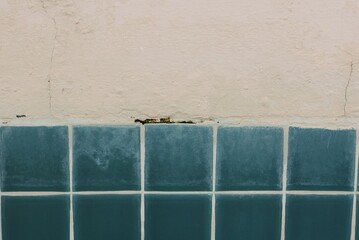 Blue tiles on a creamy wall.