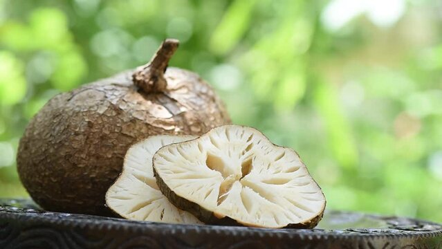Pueraria mirifica head and slices on nature background.
