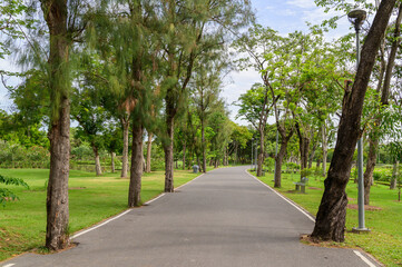 path in the public park