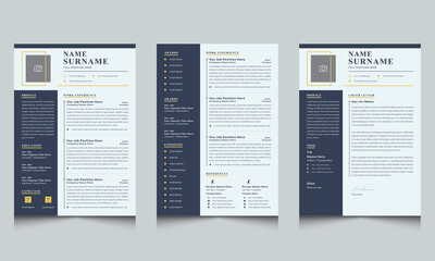 Professional Resume Layout with Cover Letter and Curriculum vitae Template
