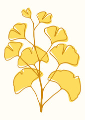 Yellow hand drawn of twig of ginkgo biloba tree isolated on white, Hand drawn yellow ginkgo biloba leaf, Hand drawn yellow japanese vector flower