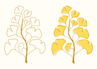 Yellow hand drawn of twig of ginkgo biloba tree isolated on white, Hand drawn yellow ginkgo biloba leaf, Hand drawn yellow japanese vector flower