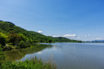 Fototapeta na wymiar 滋賀県彦根市の曽根沼の初夏の風景