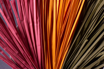 Colorful noodles on a white plate