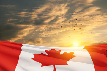 Canada national flag waving on sunset sky with flying birds. Canada day.