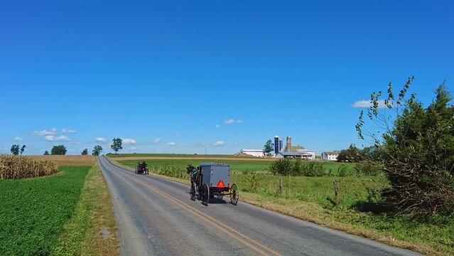 An Amish Horse and Buggy and a Open Buggy Trotting Down a Country Road in Slow-Motion on a Beautiful Sunny Day