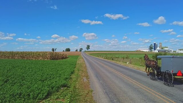 An Amish Horse and Buggy Trotting Down a Country Road, in Slow Motion, on a Beautiful Sunny Day