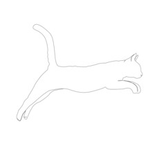 The cat jumps in the air. Drawing with one line on a white background.