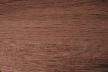 texture background - wood texture background