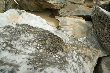 沖縄県 西表島 南風見田の浜