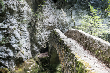 Stone bridge in the gorge of areuse