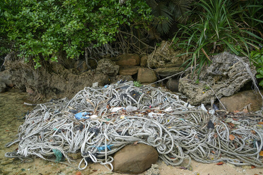 沖縄県 西表島 海洋ゴミ