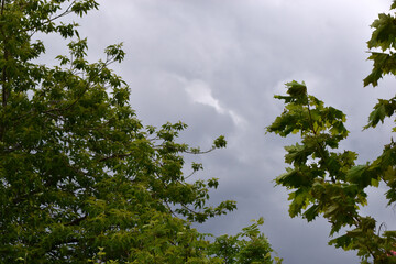 Obraz premium Heavy thundery blue clouds with rain and storm