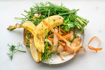 Composting pile of rotting kitchen leftover fruits and vegetable scraps on plate