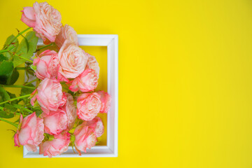 A large bouquet of pink roses lies on top of a small frame on a bright yellow background with a place for text. High quality photo