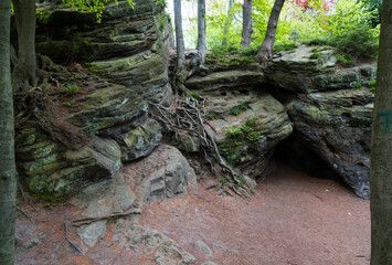 walking track with rocks in germany near tecklenburg