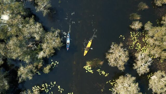Top view of kayaks in mangroves swamps