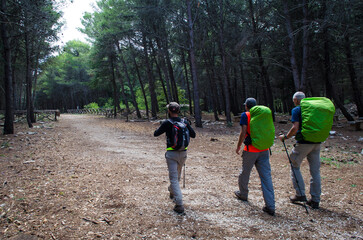 Pellegrini in cammino lungo la Via Peuceta del Cammino Materano in un bosco
