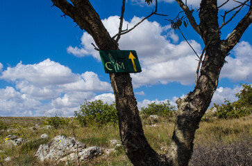 Fototapeta premium Le freccie gialle che indicano la direzione della Vua Peuceta del Cammino Materano in Puglia