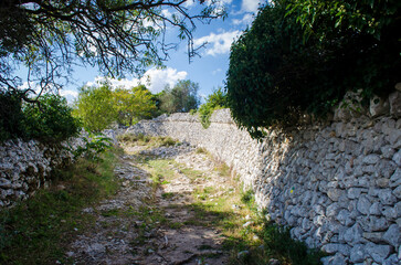 Resti di una strada medievale scavata nella roccia lungo la via Peuceta del Cammino Materano in...