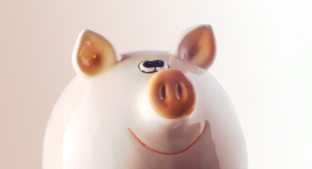 Sparschwein  -  Piggy bank