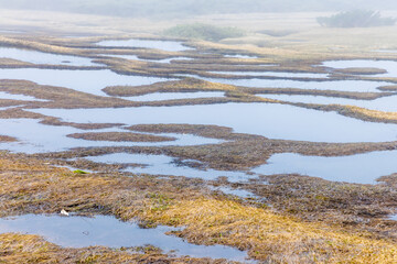 雪解け後の八幡平頂上の景色