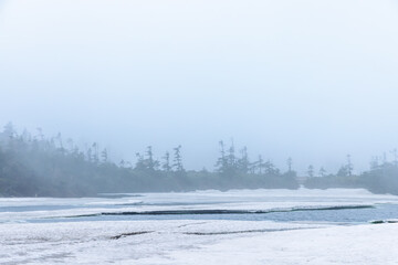 霧の中の八幡平頂上付近の景色