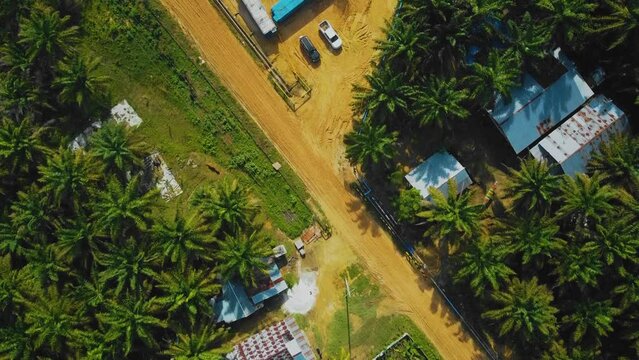 Cinematic Onshore Drilling and Workover Rig structure and Rig equipment for oil exploration and exploitation in the middle of jungle surrounded by palm oil trees during sunset time.