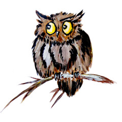 Naklejka premium Cartoon illustration of an owl. A funny owl on a branch with yellow crazy eyes looks scared to the side. Traditional acrylic painting. A frightened owl sits on a branch. Funny eyes.