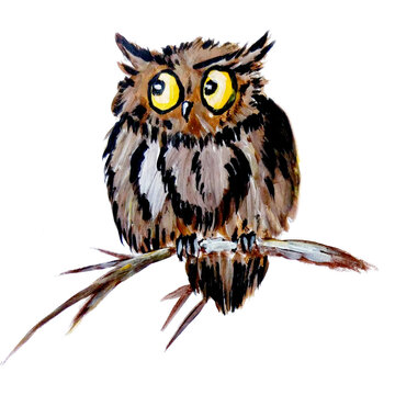 Cartoon illustration of an owl. A funny owl on a branch with yellow crazy eyes looks scared to the side. Traditional acrylic painting. A frightened owl sits on a branch. Funny eyes.
