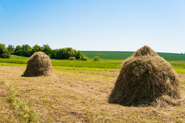mown field with haystacks on a green background