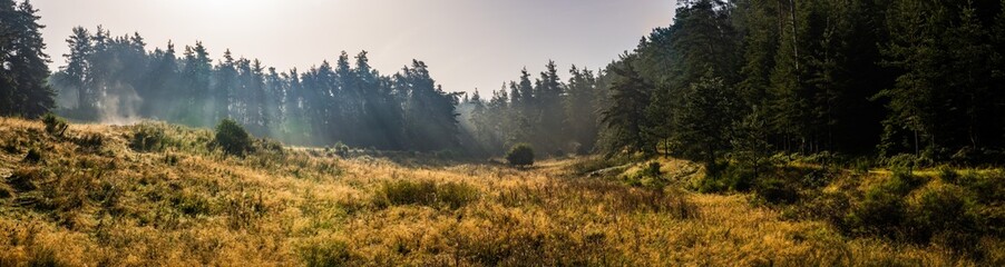 Quand les premiers rayons du soleil font monter la brume sur une zone humide, Allègre, Haute-Loire, Auvergne-Rhône-Alpes, France
