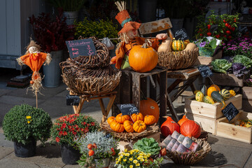 Bunte K&uuml;rbisse am Wochenmarkt