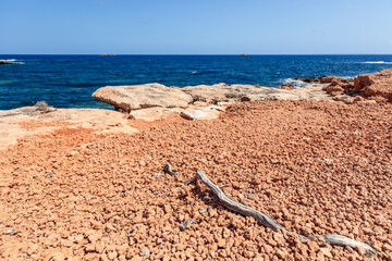 Dried root of plant on a lifeless stone surface of a rock once stretched towards the sea, Ibiza,...
