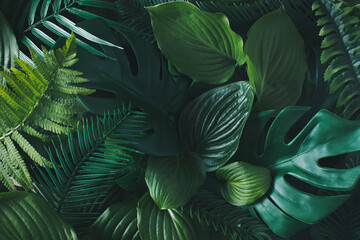 Green tropical leaves. Minimal jungle layout, flat lay. Nature concept. Creative summer idea. © Goncharuk film