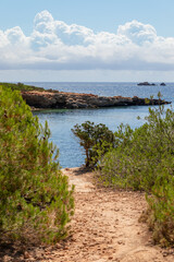 Narrow path to hidden beach in Ibiza island, Balearic Islands, Spain (vertical photo)